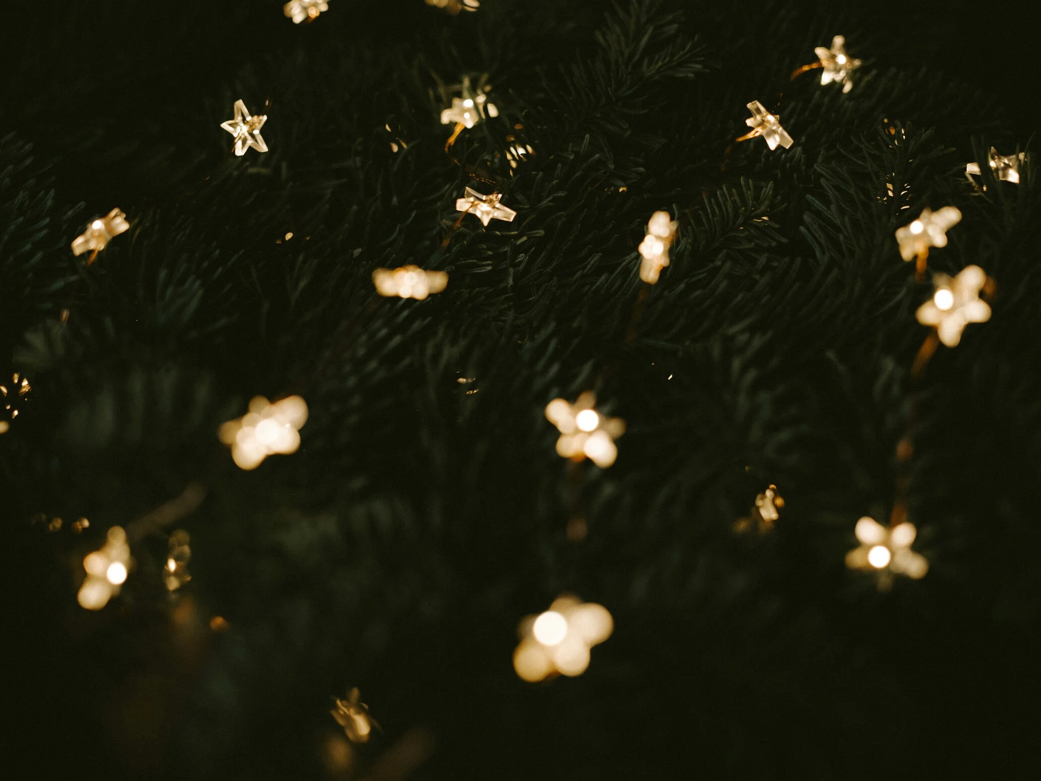 Vianočné osvetlenie v roku 2025: trendy a tipy